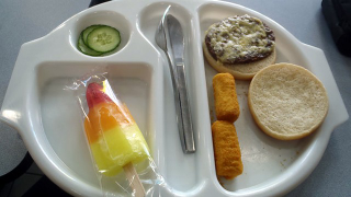 9-Year-Old School Lunch Blogger Silenced By Politicians (Updated)
